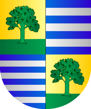 ESCUDO SIGUIENTE