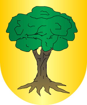 ESCUDO ALEATORIO