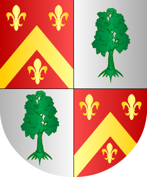 ESCUDO ALEATORIO