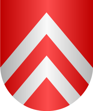 ESCUDO ALEATORIO