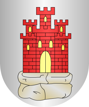 ESCUDO SIGUIENTE