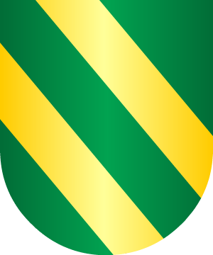 ESCUDO SIGUIENTE