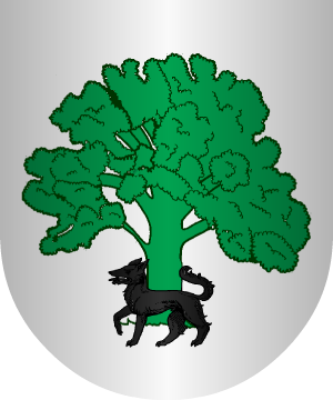 ESCUDO SIGUIENTE