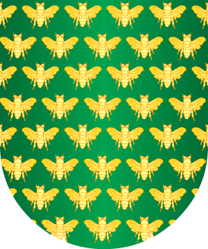 ESCUDO SIGUIENTE