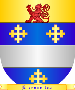 ESCUDO SIGUIENTE