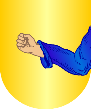 ESCUDO SIGUIENTE