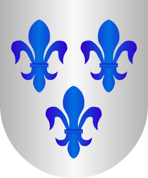 ESCUDO SIGUIENTE