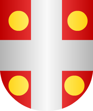 ESCUDO ALEATORIO