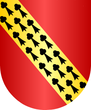 ESCUDO SIGUIENTE