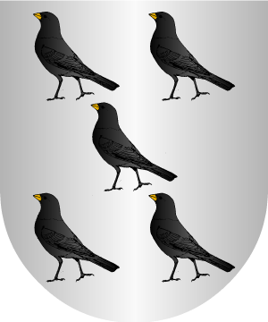 ESCUDO PRECEDENTE