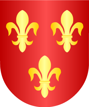 ESCUDO SIGUIENTE