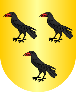 ESCUDO SIGUIENTE