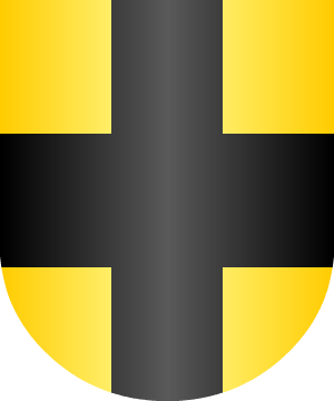 ESCUDO ALEATORIO