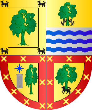 ESCUDO SIGUIENTE