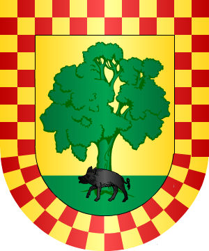 ESCUDO SIGUIENTE
