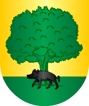 ESCUDO ALEATORIO