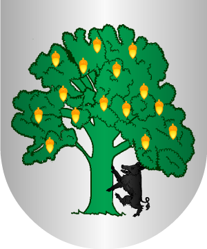 ESCUDO ALEATORIO