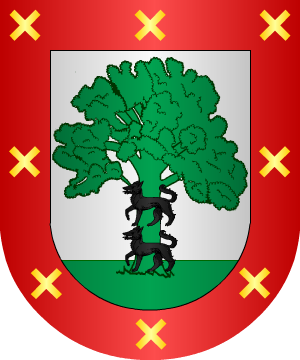 ESCUDO SIGUIENTE