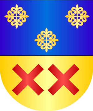 ESCUDO ALEATORIO