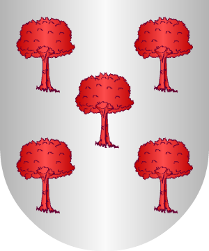 ESCUDO SIGUIENTE