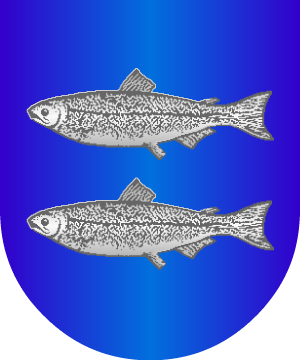 ESCUDO SIGUIENTE
