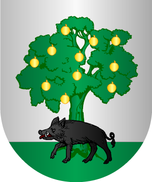 ESCUDO ALEATORIO