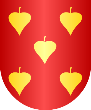 ESCUDO ALEATORIO