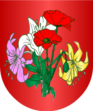 ESCUDO ALEATORIO