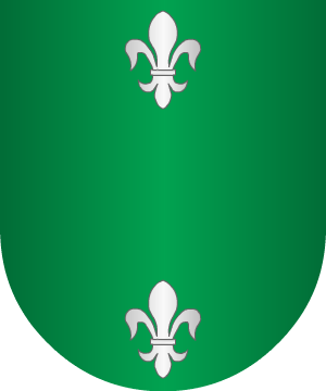 ESCUDO SIGUIENTE