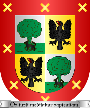 ESCUDO PRECEDENTE