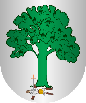 ESCUDO SIGUIENTE