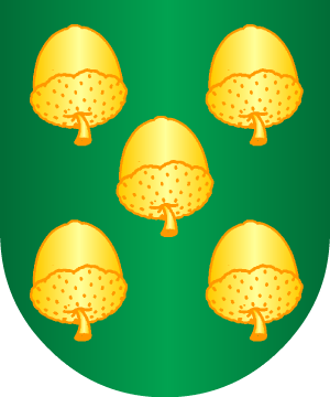 ESCUDO PRECEDENTE