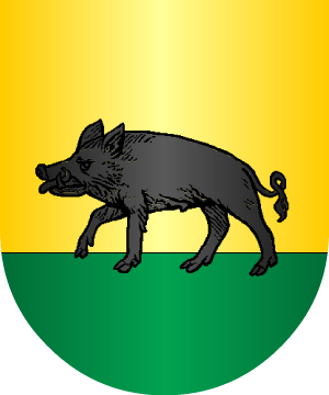 ESCUDO SIGUIENTE