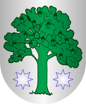 ESCUDO ALEATORIO