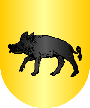 ESCUDO SIGUIENTE
