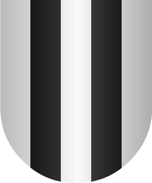 ESCUDO ALEATORIO