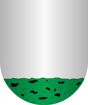 ESCUDO ALEATORIO