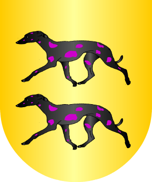 ESCUDO PRECEDENTE