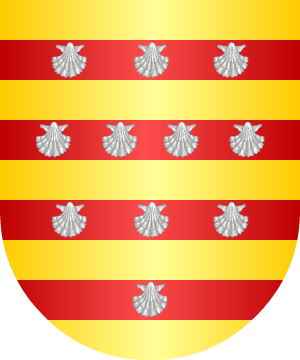 ESCUDO SIGUIENTE