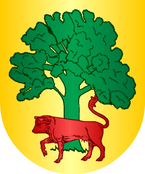 ESCUDO SIGUIENTE