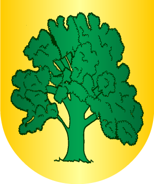 ESCUDO ALEATORIO