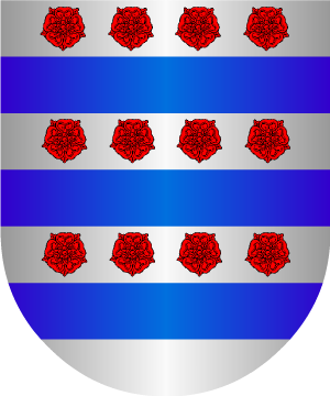 ESCUDO SIGUIENTE