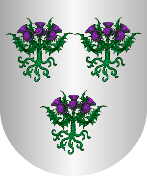 ESCUDO SIGUIENTE