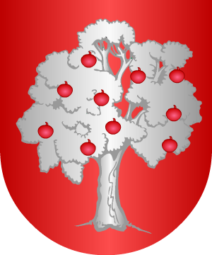 ESCUDO SIGUIENTE