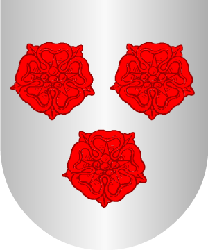 ESCUDO ALEATORIO
