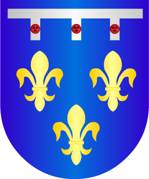 ESCUDO PRECEDENTE