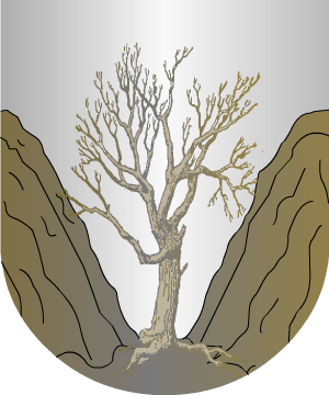 ESCUDO ALEATORIO