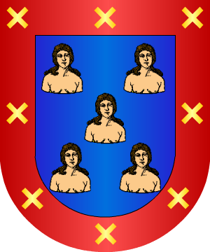 ESCUDO SIGUIENTE