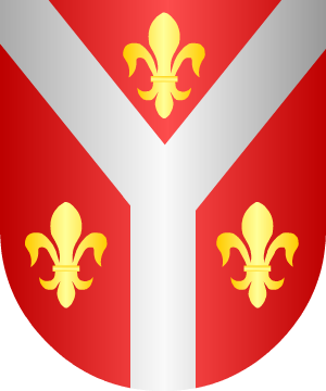 ESCUDO ALEATORIO