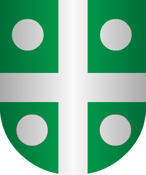 ESCUDO SIGUIENTE